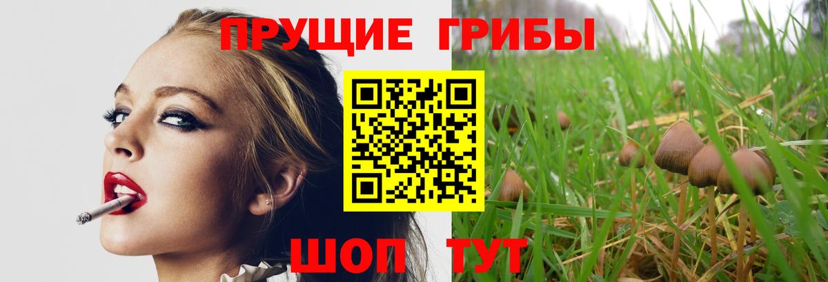 Галлюциногенные грибы мухоморы  Вход с VPN  Челябинск 